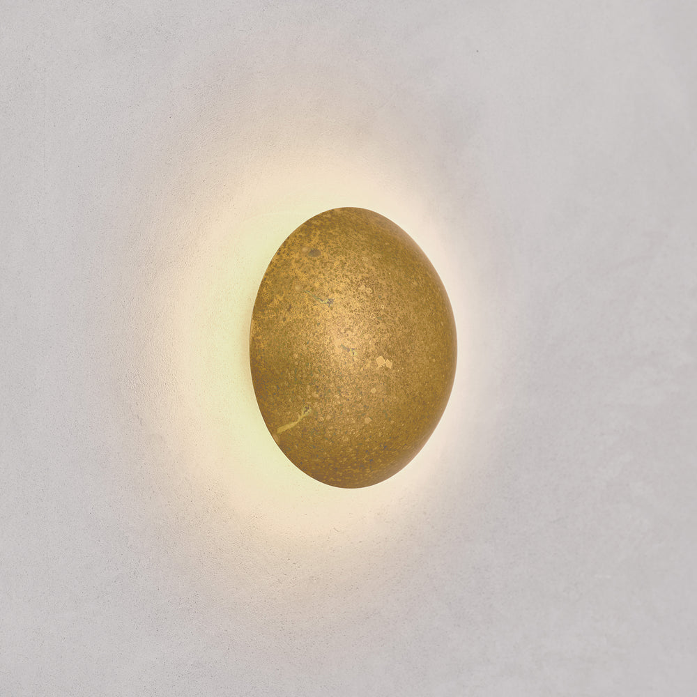 Comet Oxidium 20cm