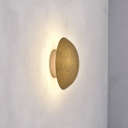 Comet Oxidium 20cm