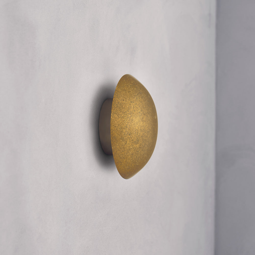 Comet Oxidium 20cm
