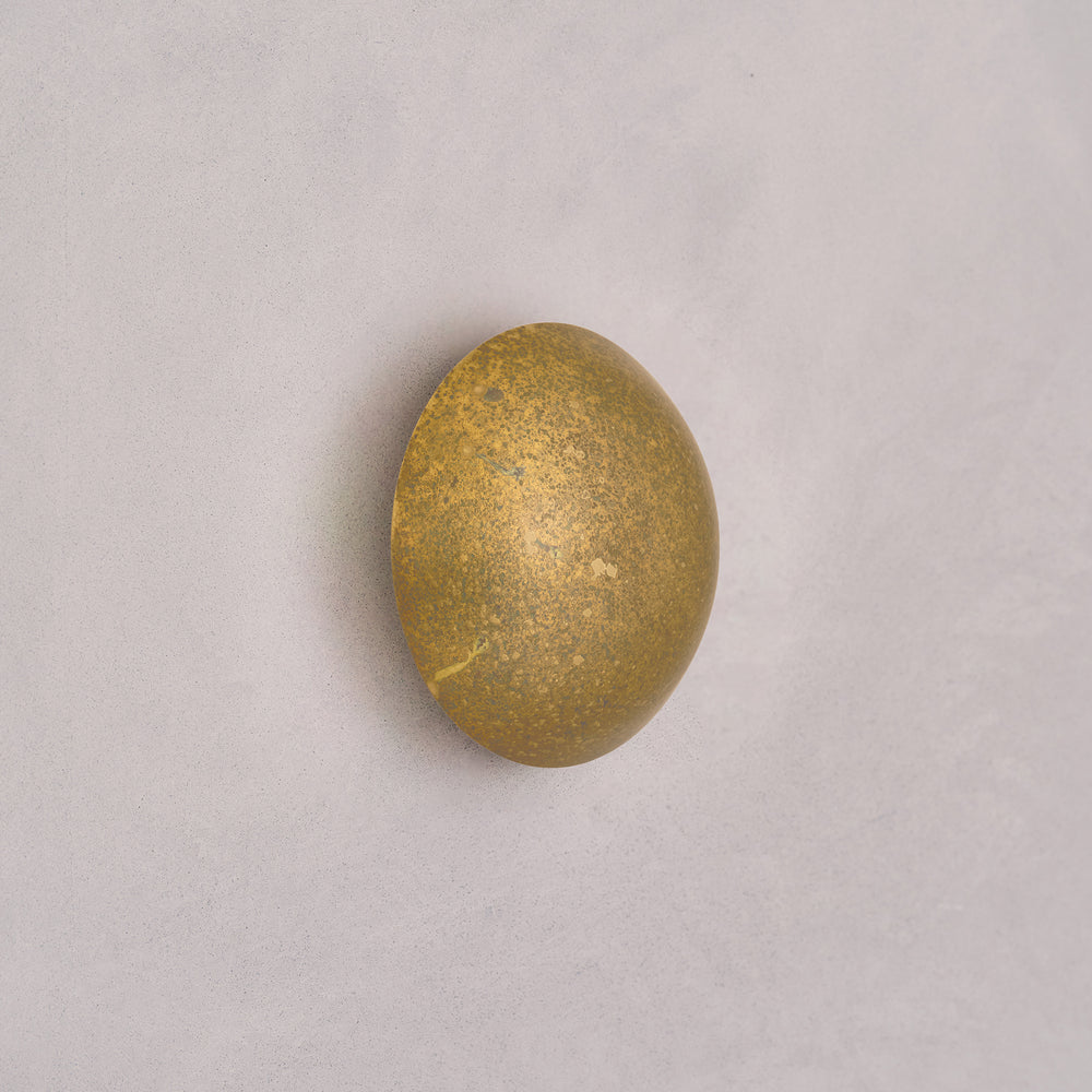 Comet Oxidium 20cm