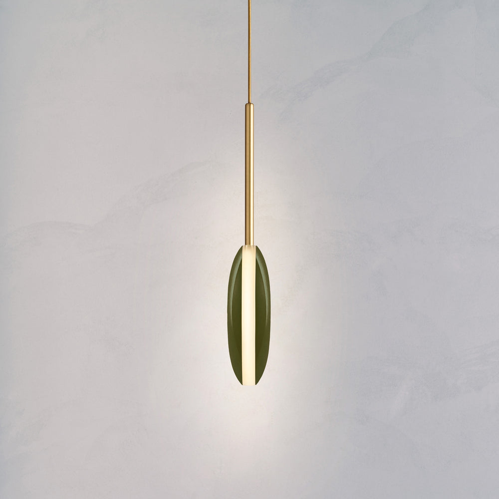 Meteor Olive
