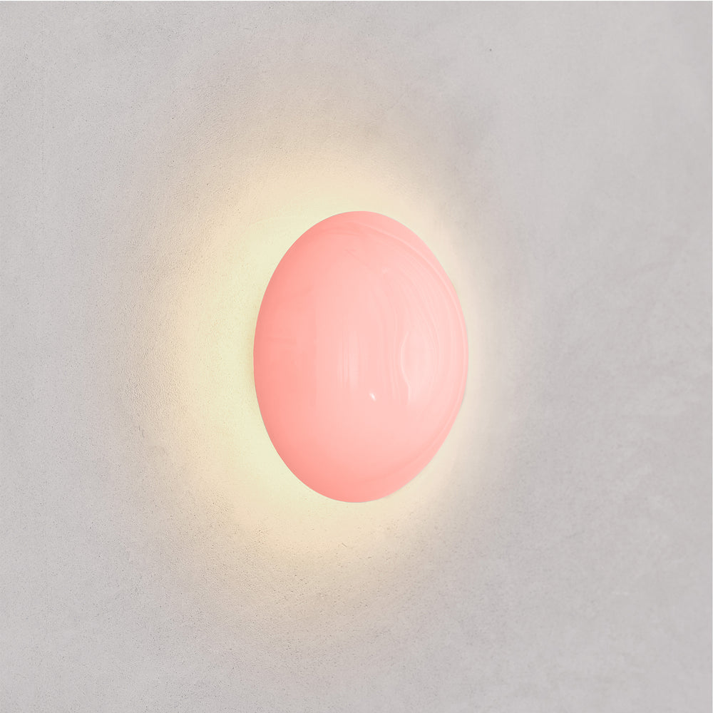 Comet Rose