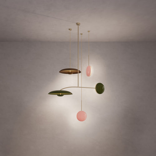 Constellation Stella Olive