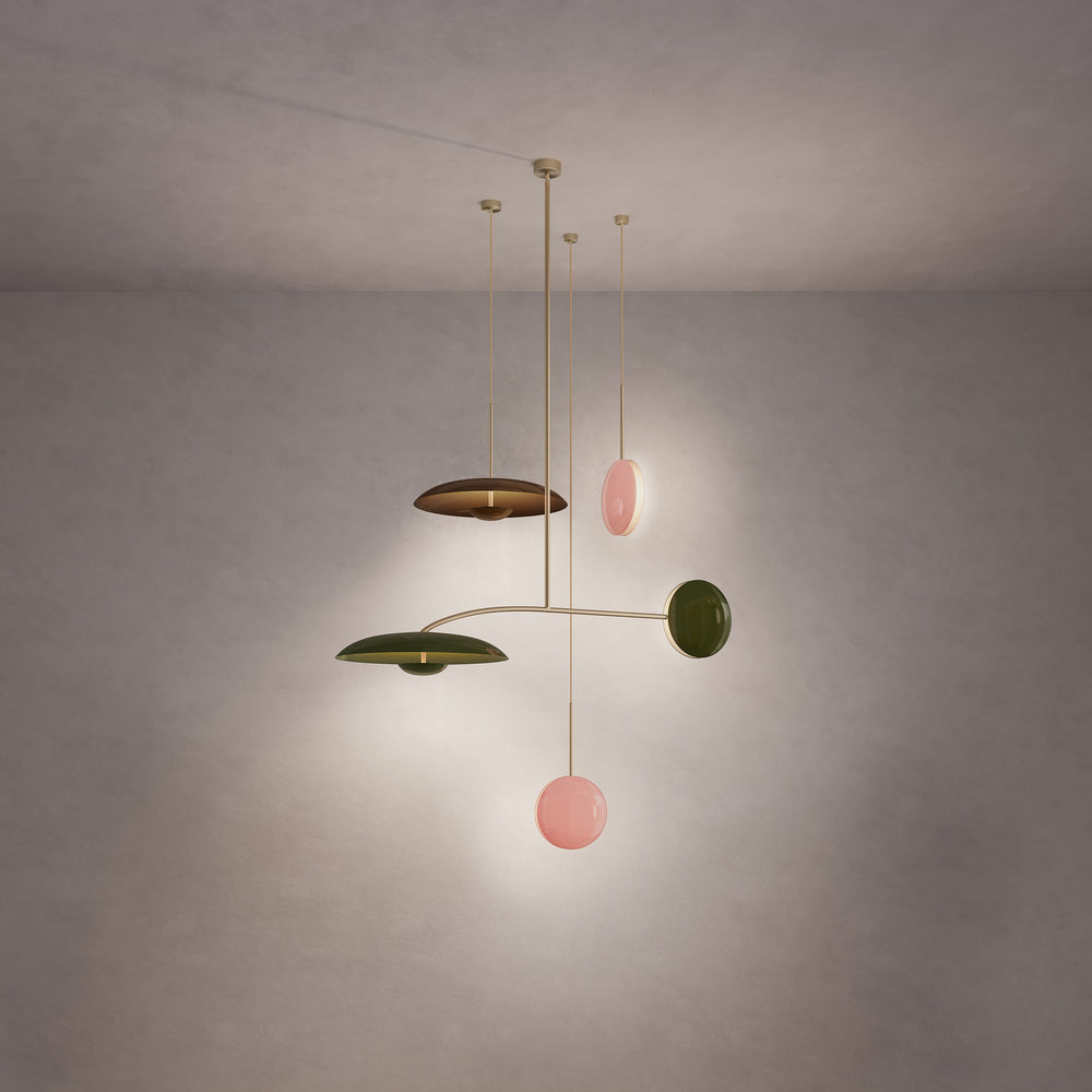 Constellation Stella Olive