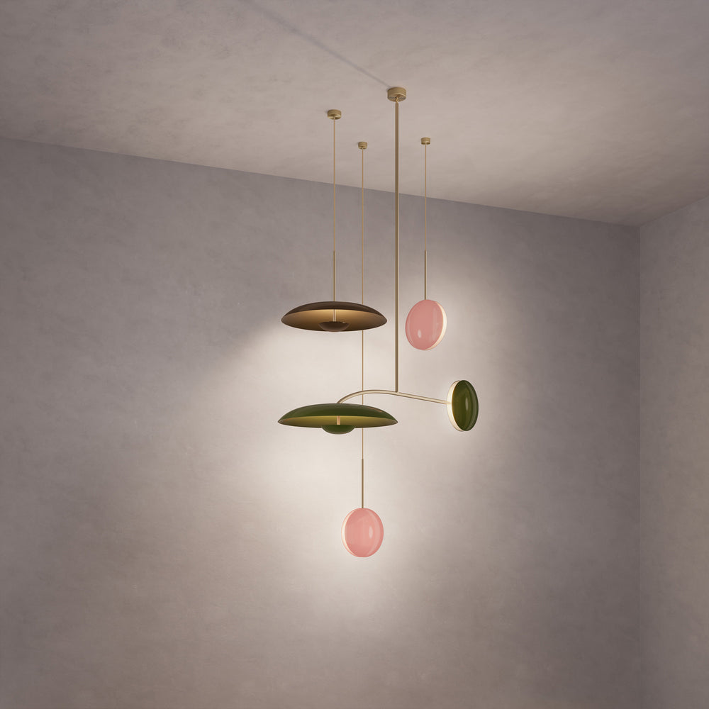 Constellation Stella Olive