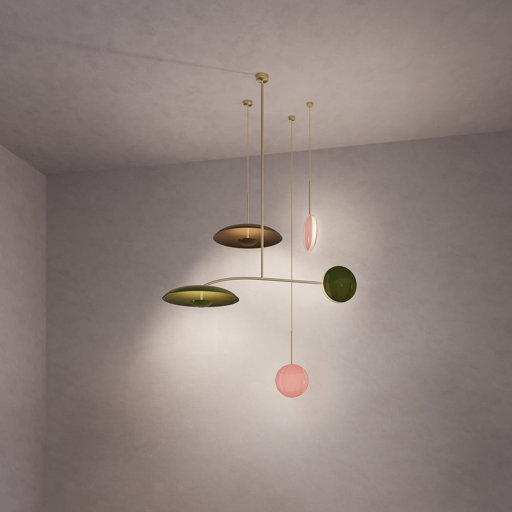 Constellation Stella Olive