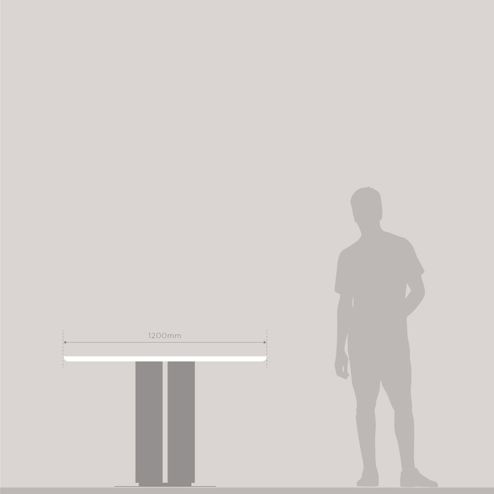 Dining Table Regolith